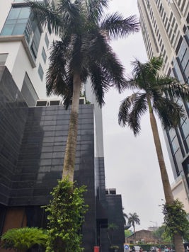 BÁN CĂN CHUNG CƯ TÒA C 275 NGUYỄN TRÃI. 112M2 - 3 PN - 2VC.