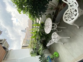 🏡 Bán Căn Hộ Lô Góc 96m² 3PN Full Nội Thất View Đẹp Gần Đại Lộ Thăng Long – Giá Chỉ 7,5 Tỷ