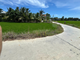 🔥 HƠN 1.000M² FULL THỔ CƯ – CHỈ 3 TRIỆU/M² TẠI PHƯỜNG NINH HÒA 🔥