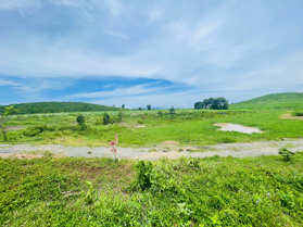 BÁN ĐẤT 1.000M² NINH THƯỢNG – NINH HÒA, CHỈ 220 TRIỆU/SỔ