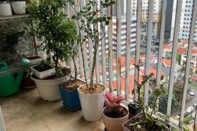 BÁN CĂN HỘ CHUNG CƯ THÔNG TẤN XÃ VIỆT NAM - KDT KIM VĂN KIM LŨ - P.ĐỊNH CÔNG