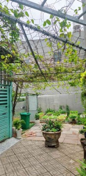 ĐẤT HẺM 704 TÔ KÝ, Q.12 – CÁCH CHỢ BA BẦU CHỈ 50M, TIỀM NĂNG KHAI THÁC CAO