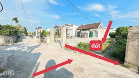 bán Đất Nam Hồng tiền Hải Thái Bình 