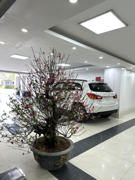 CHO THUÊ NHÀ MẶT PHỐ VŨ ĐỨC THẬN LB– 180M², MT 6m – 2 MẶT TIỀN Ô TÔ– THANG MÁY, 40tr/th.
